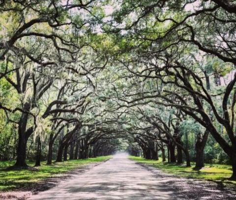 Georgia’s Top 7 Instagrammable Locations
